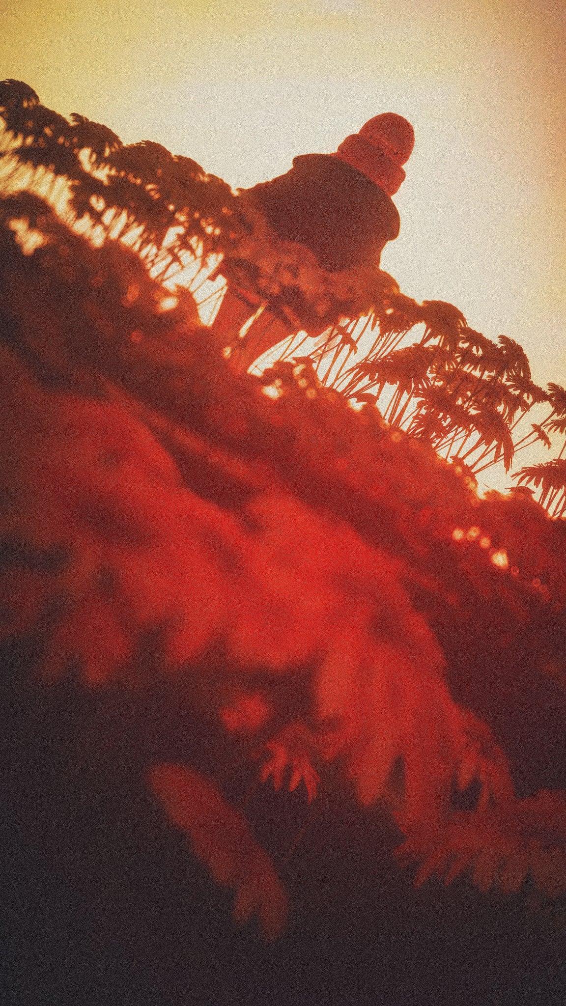作品撮り 04